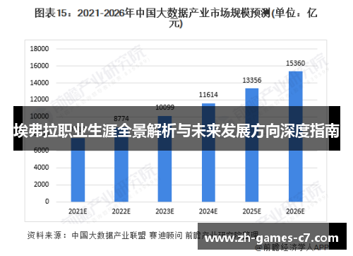 埃弗拉职业生涯全景解析与未来发展方向深度指南