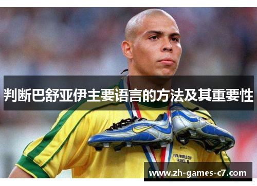 判断巴舒亚伊主要语言的方法及其重要性